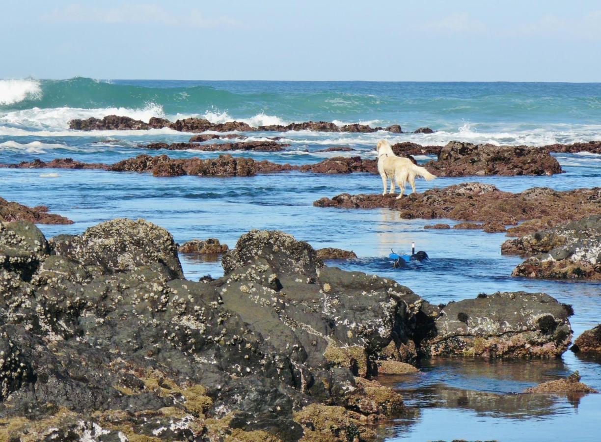 Shells On The Beach Sea View Exterior foto
